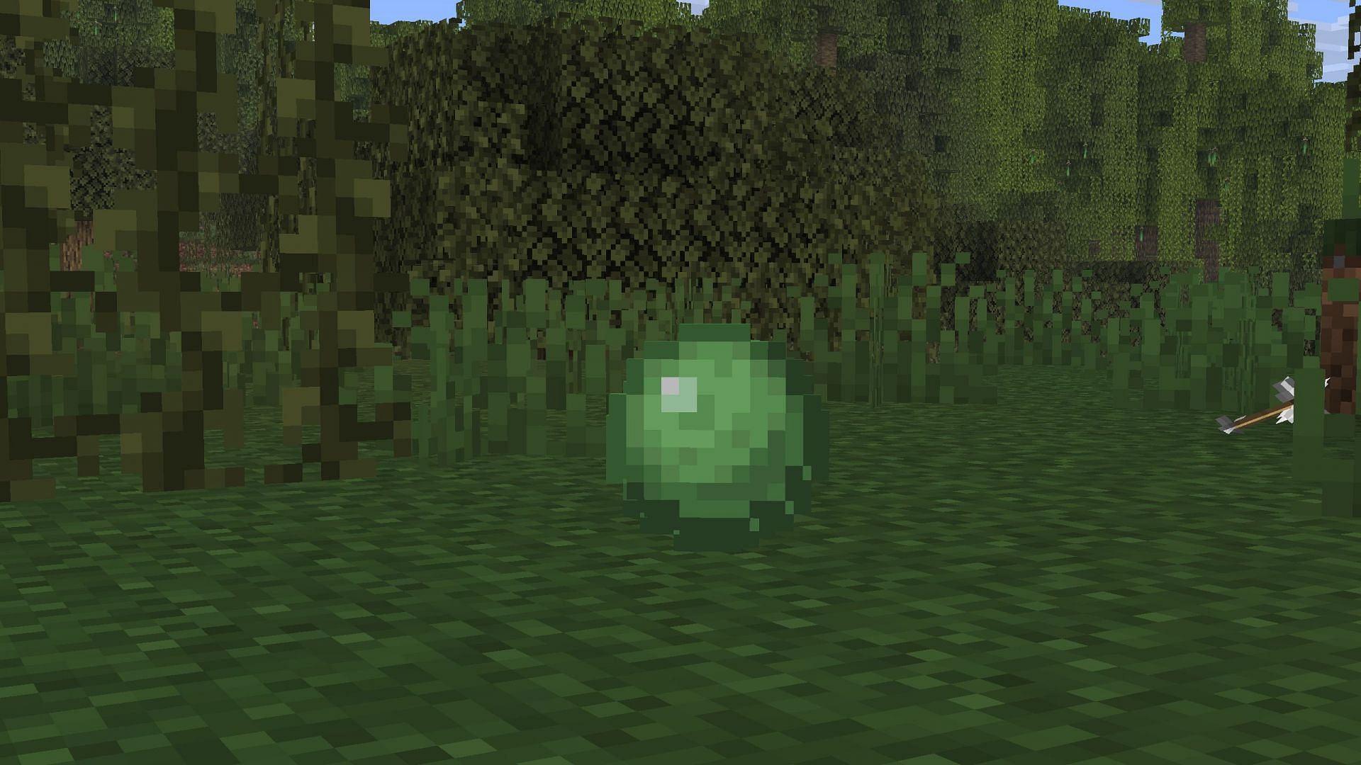 Slimes drop slime balls used for various purposes (Image via Sportskeeda Gaming || Mojang Studios)